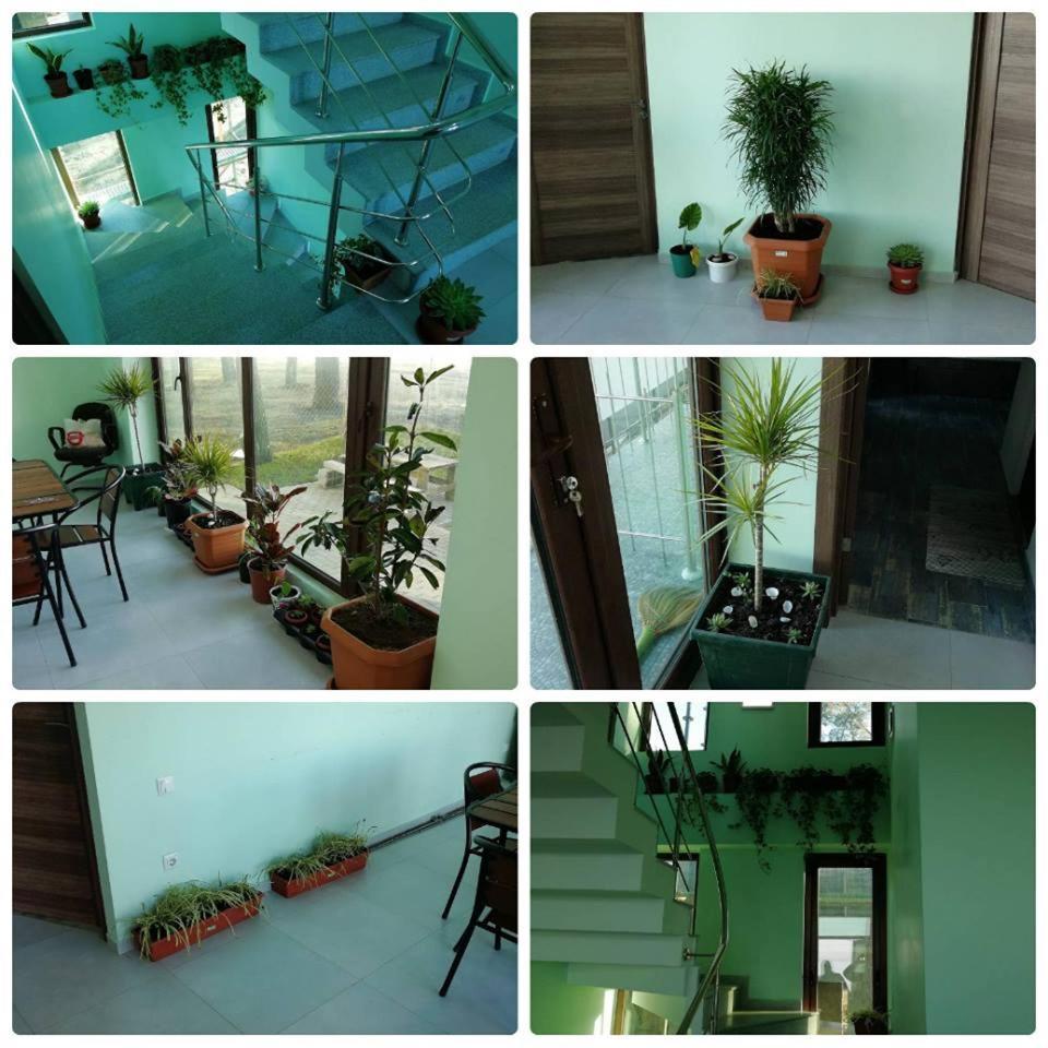 Shekvetili Green House Extérieur photo